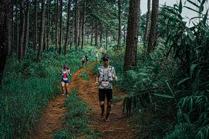 BIB: 
                            <button type="button" onclick="openModal(25660448)" class="btn btn-primary btn-sm float-right btn-popup" data-toggle="modal" data-target=".modal-high-quality">
                        <i class="fas fa-shopping-cart"></i> Add to Cart
                    </button>
                                            <button type="button" onclick="isThisMe(25660448, true)" class="btn btn-success btn-sm float-right btn-popup btn-isme hidden" data-toggle="tooltip" data-placement="bottom" title="นี่คือรูปของคุณใช่ไหม คลิกที่นี่เพื่อเอาเข้าอัลบั้ม">
                        <i class="fas fa-plus"></i> Add to album
                    </button>
                    <button type="button" onclick="isThisMe(25660448, false)" class="btn btn-warning btn-sm float-right btn-popup btn-isnotme hidden">
                        <i class="fas fa-ban"></i> Remove from album
                    </button>